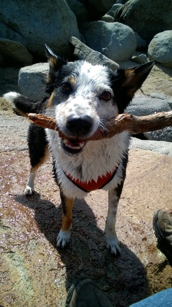 GIF uploaded by Jake