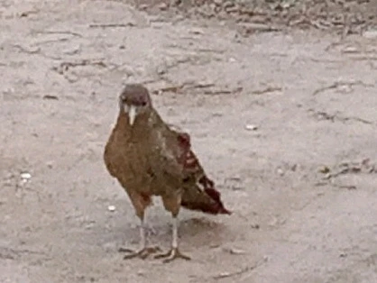 GIF uploaded by Gary