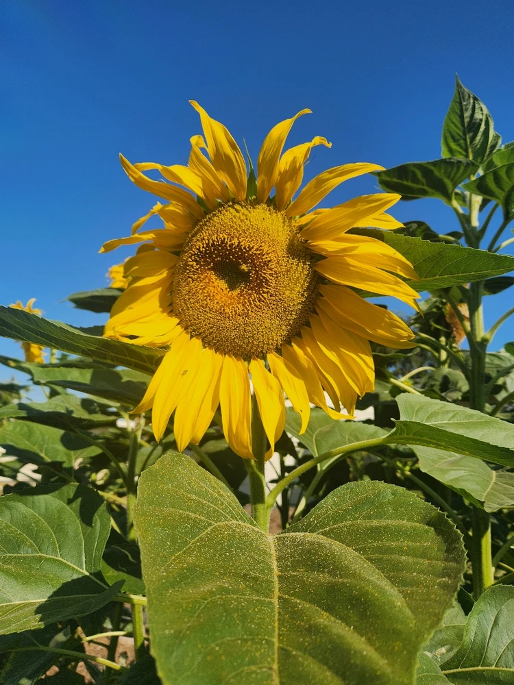 Image uploaded by Elle