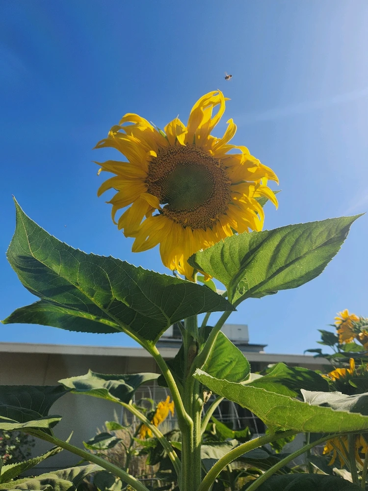 Image uploaded by Elle