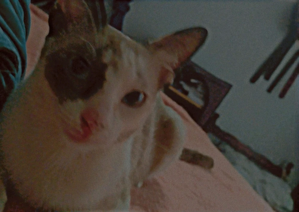 GIF enviado por Rian dos Santos Gonçalves