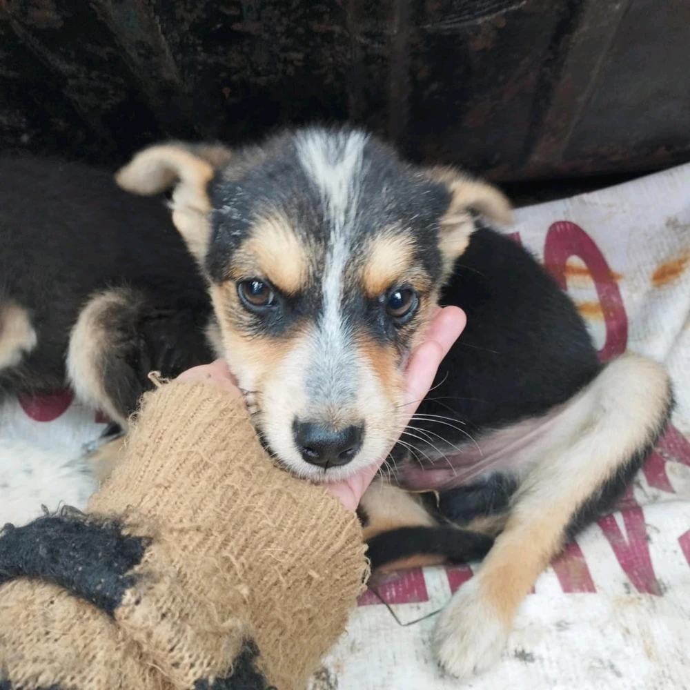 Imagen subida por ꓄ђ