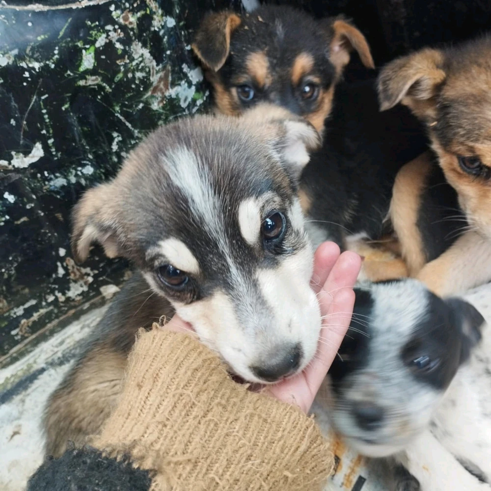 Imagen subida por ꓄ђ