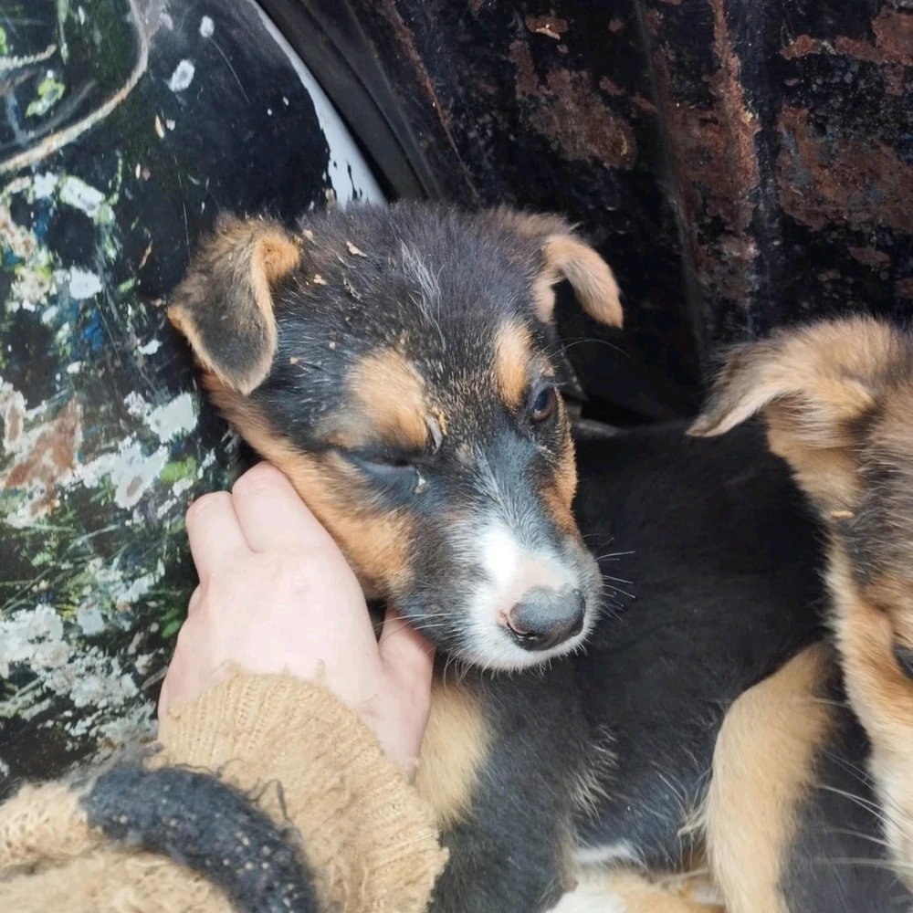 Imagen subida por ꓄ђ