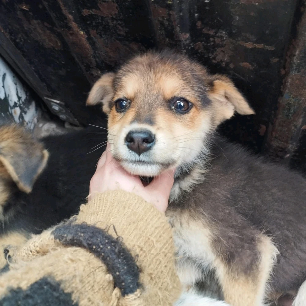 Imagen subida por ꓄ђ