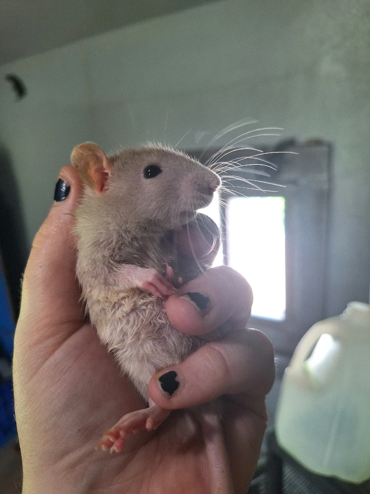 Image uploaded by Bree