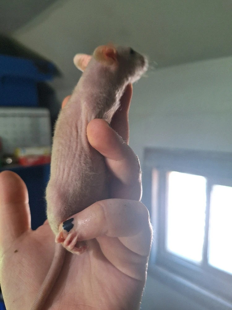 Image uploaded by Bree