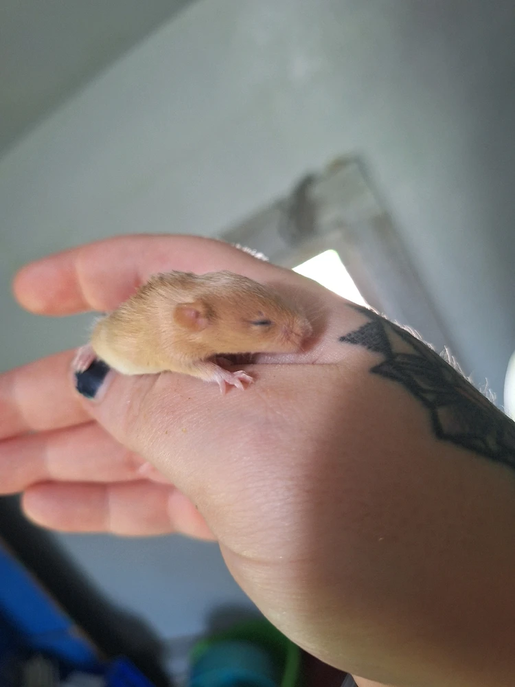 Image uploaded by Bree