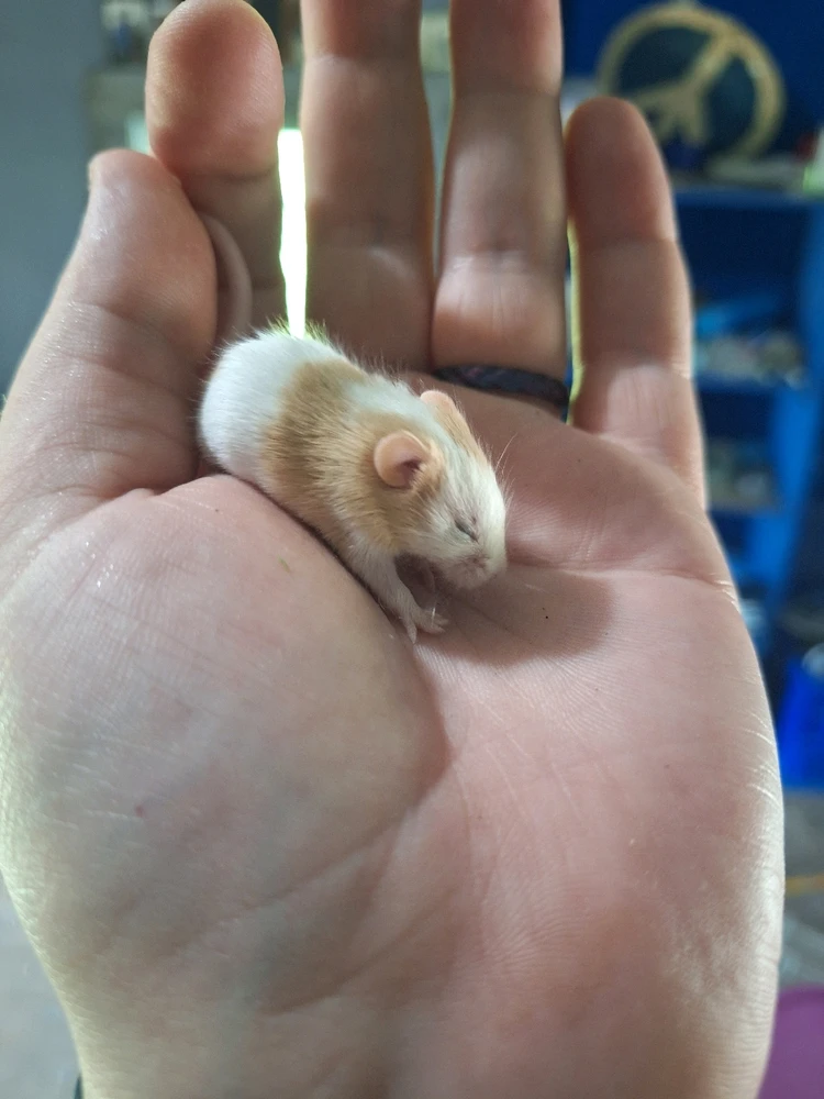 Image uploaded by Bree