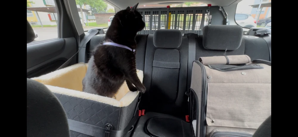 GIF hochgeladen von Angi