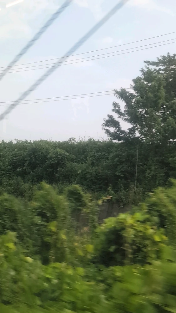 HasiがアップロードしたGIF