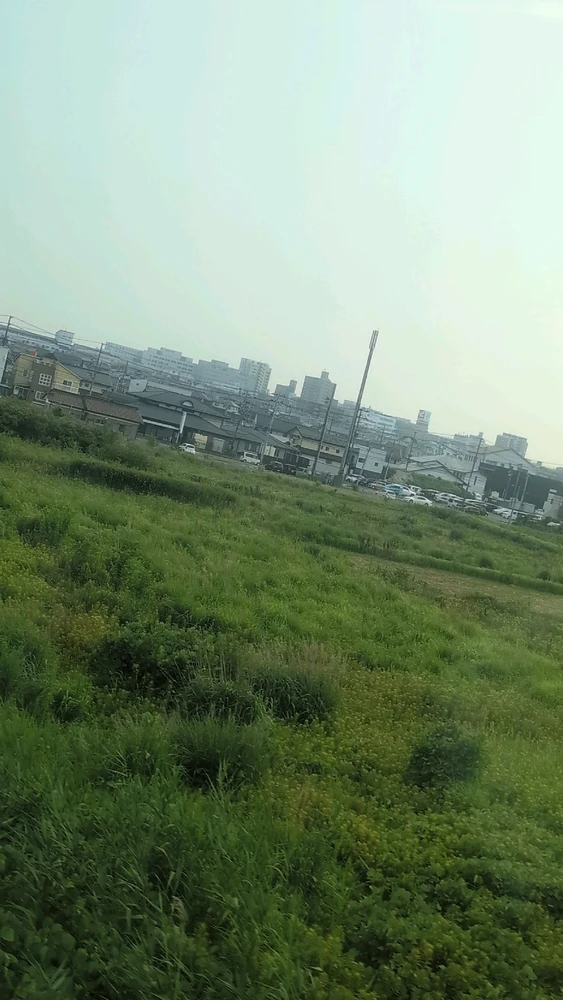 HasiがアップロードしたGIF