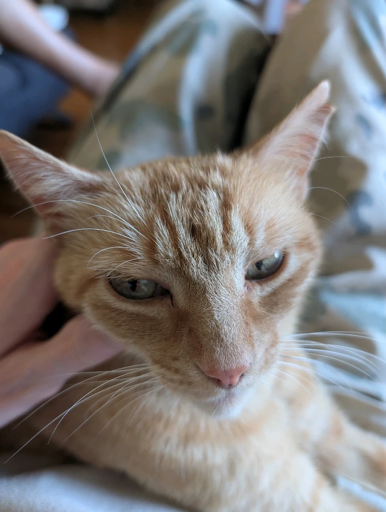 GIF ajouté par Antoine