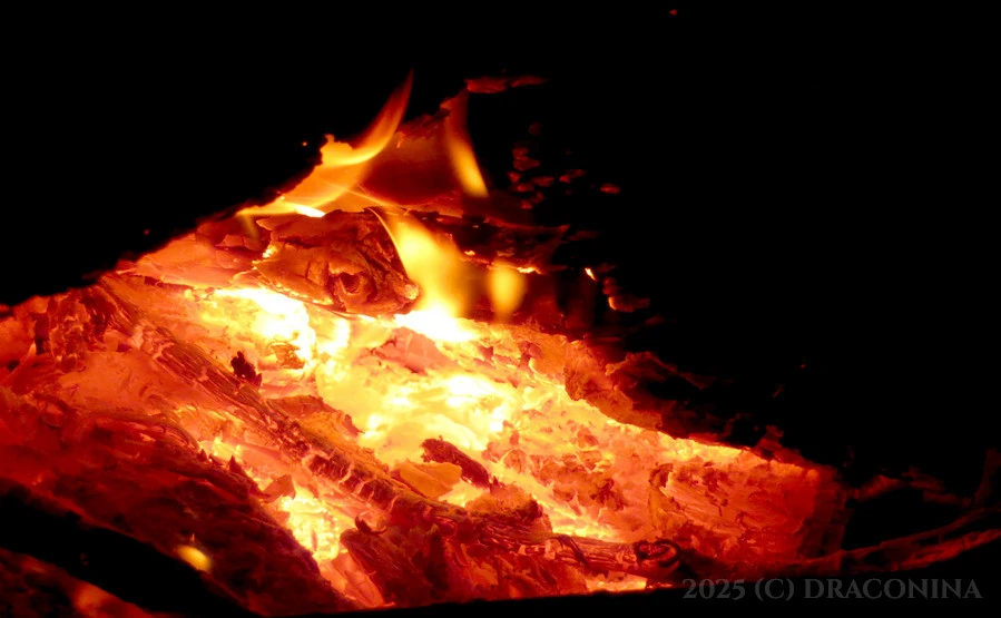 Zdjęcie dodane przez Czarna_Kosmitka