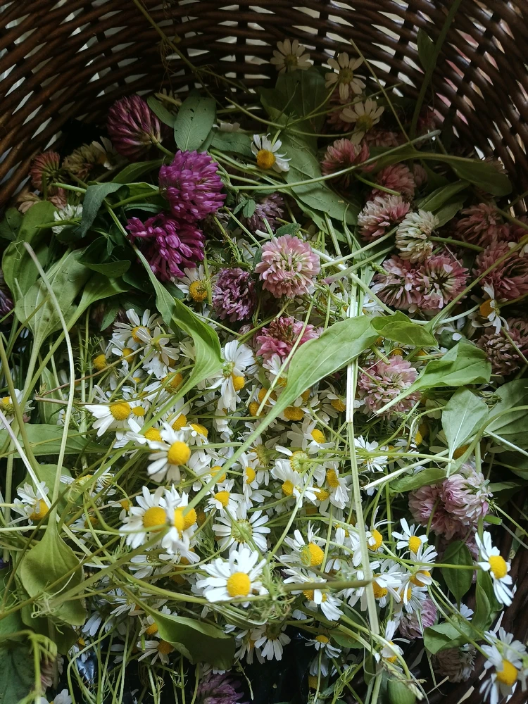 GIF-tiedoston lisäsi Kristiina