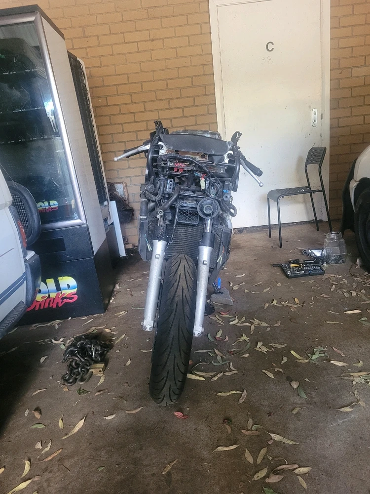 Image uploaded by Cameron