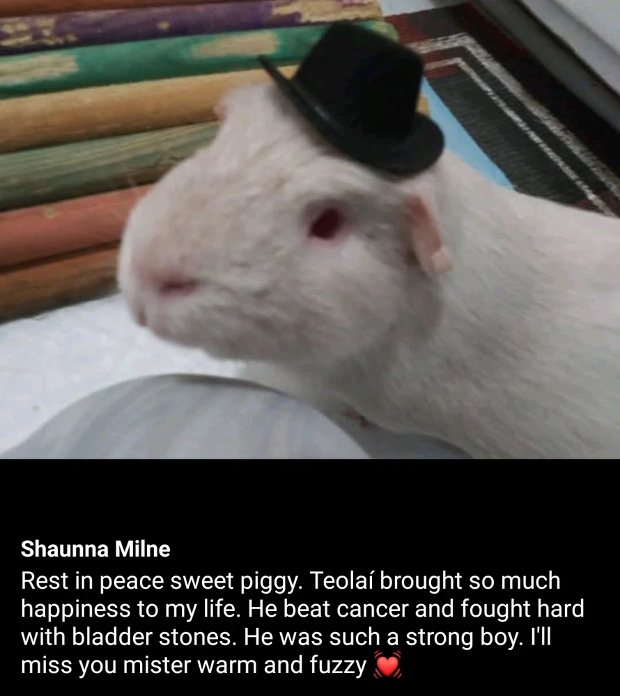 GIF uploaded by Gingerella