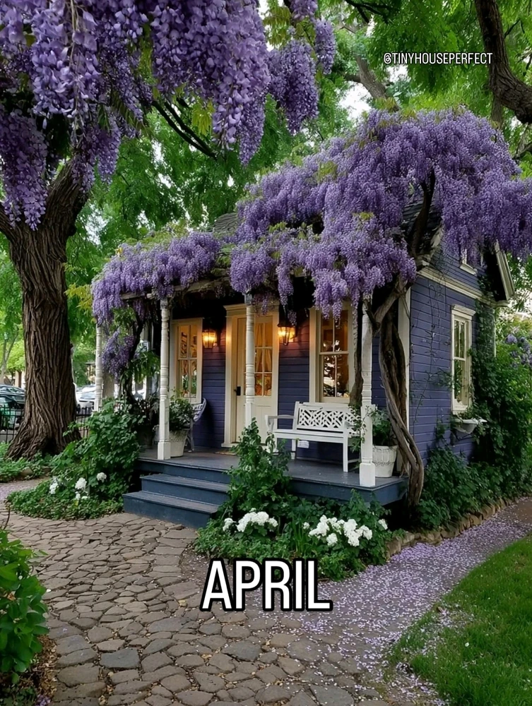 Image uploaded by SuSu