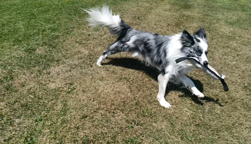 GIF subido por Jorge