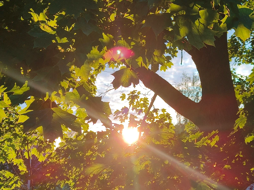 GIF-tiedoston lisäsi Teijo