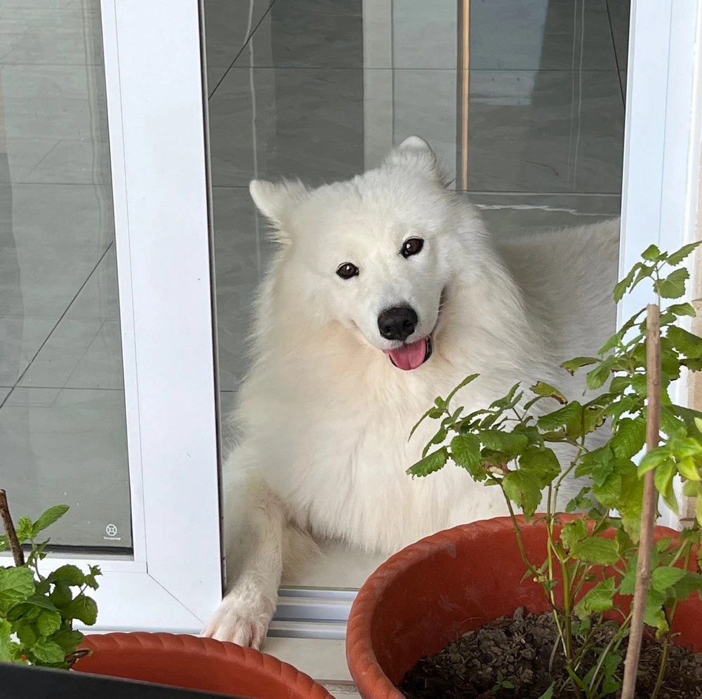 GIF uploaded by chelsea