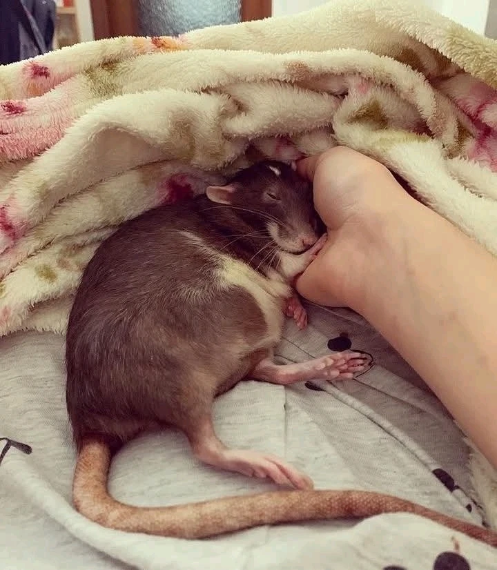 Image uploaded by Mike