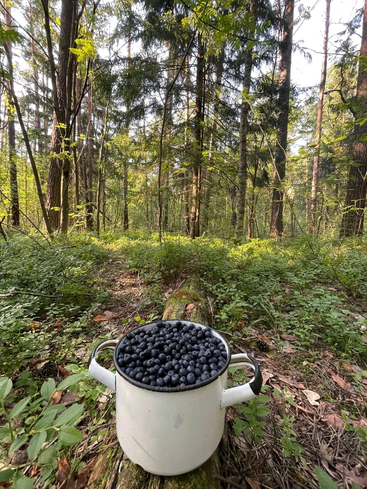 Фото загрузил Anatolii