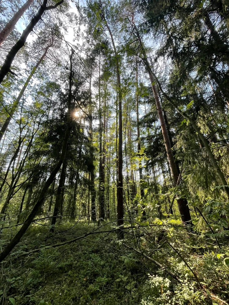 Фото загрузил Anatolii