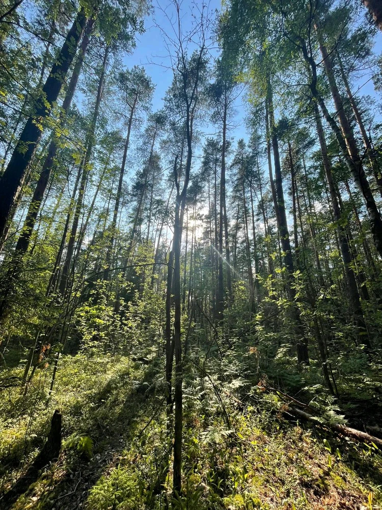 Фото загрузил Anatolii