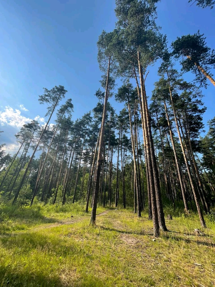 Фото загрузил Anatolii