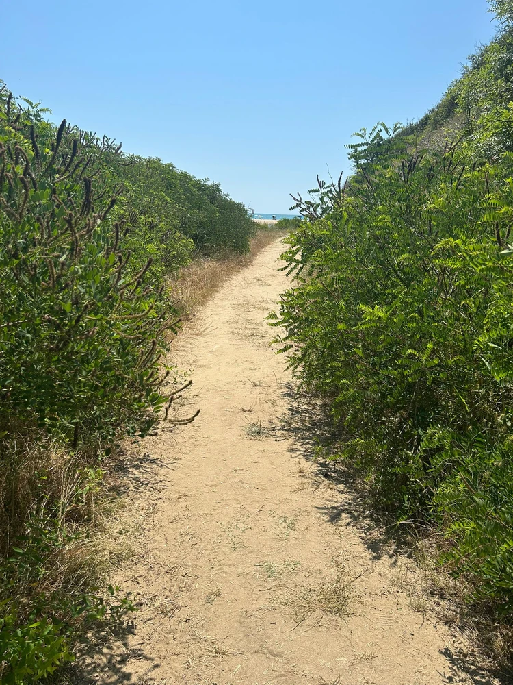 Image uploaded by Rayla