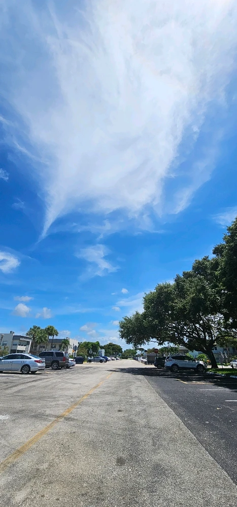 Discovering the magic of nature: An unforgettable moment with the life that surrounds us! 🌿🦎✨