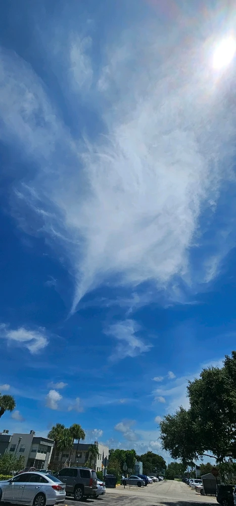 Discovering the magic of nature: An unforgettable moment with the life that surrounds us! 🌿🦎✨