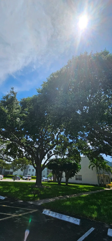 Discovering the magic of nature: An unforgettable moment with the life that surrounds us! 🌿🦎✨