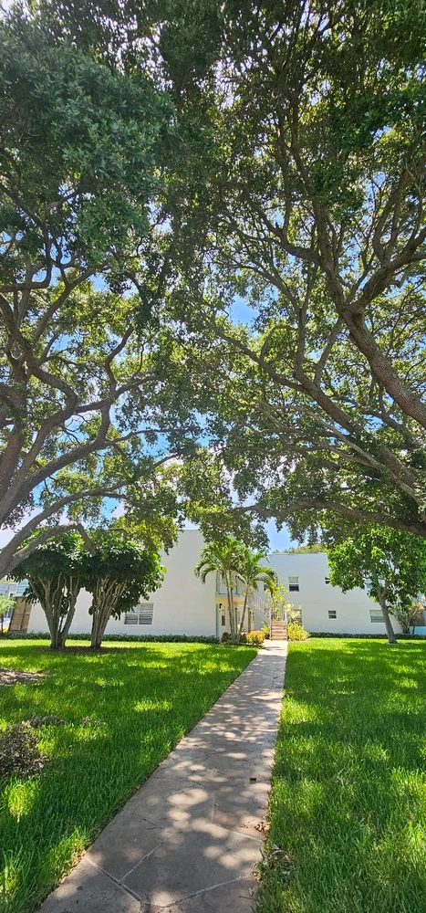 Discovering the magic of nature: An unforgettable moment with the life that surrounds us! 🌿🦎✨