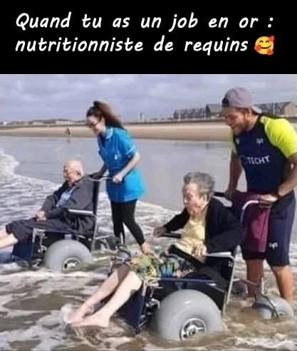 GIF ajouté par Joffrey