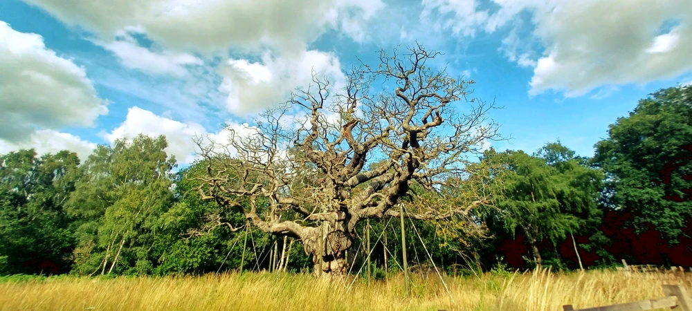 GIF uploaded by Disarmewith