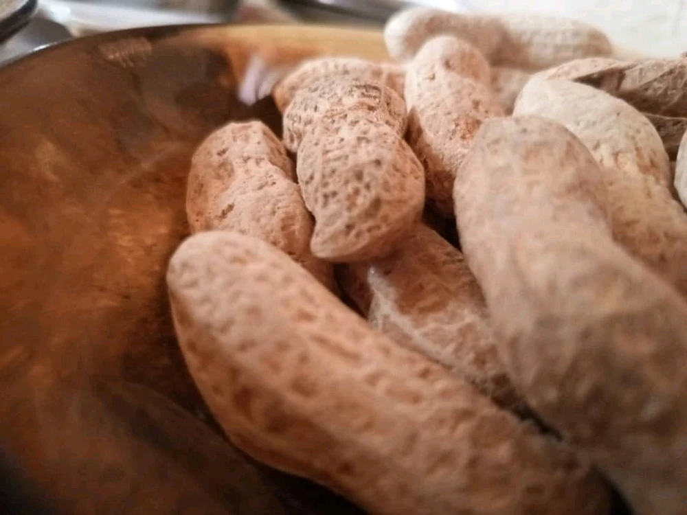 GIF رفعها Joud Aladdin