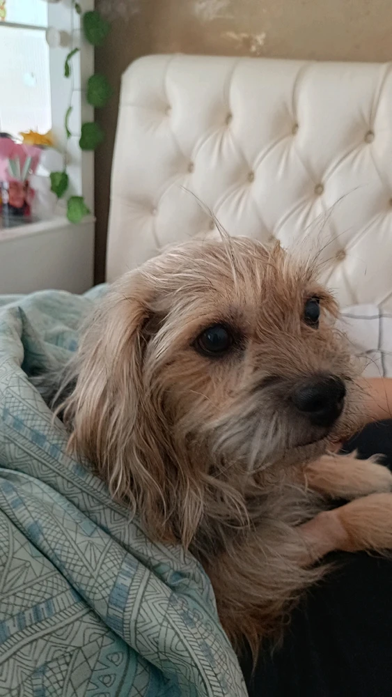 GIF opgelaai deur Renan