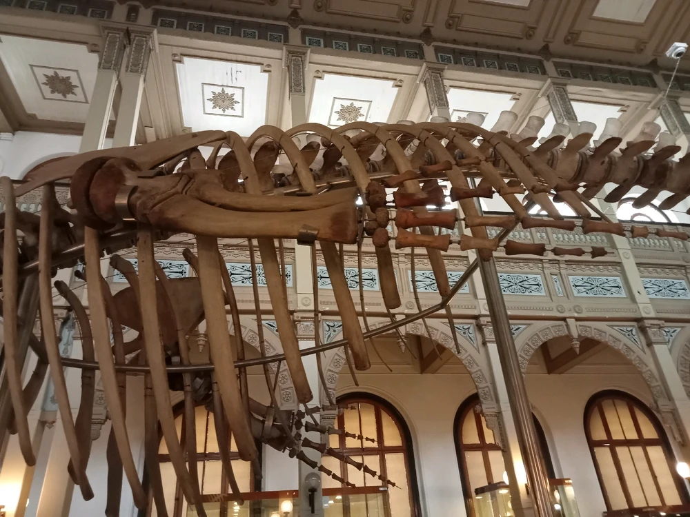 Imagen subida por Enrique Bejarano