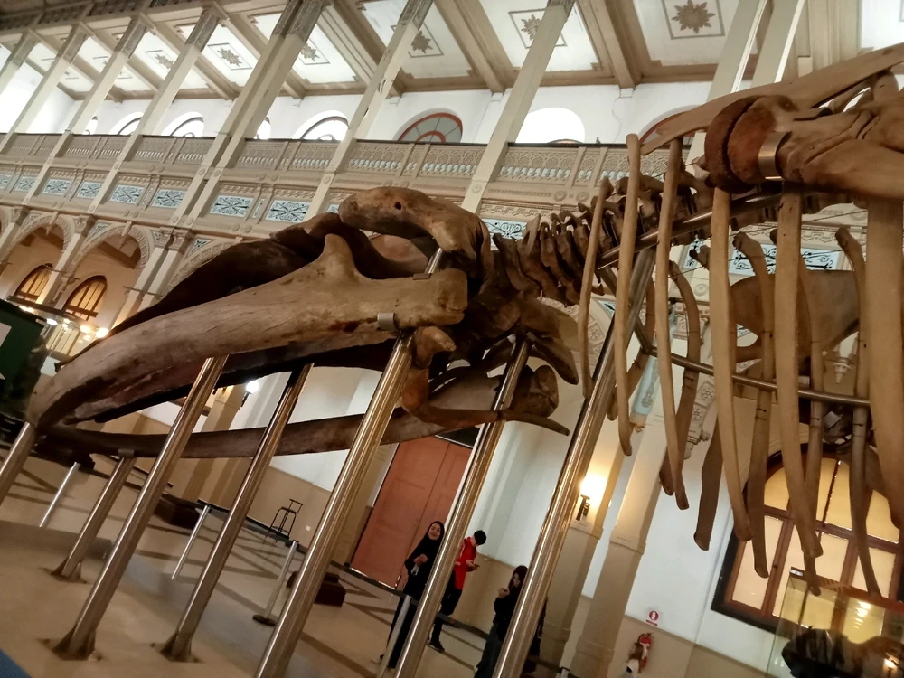 Imagen subida por Enrique Bejarano