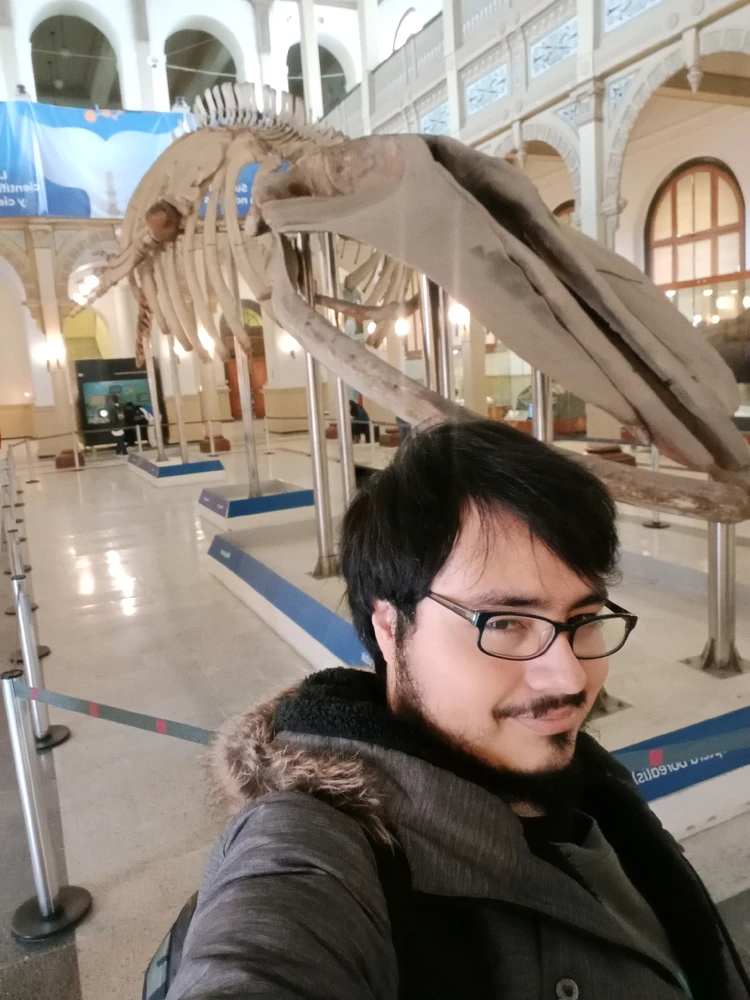 Imagen subida por Enrique Bejarano