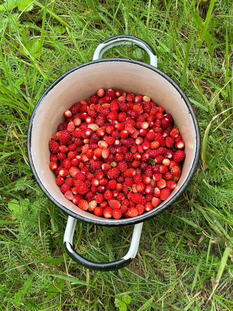 Фото загрузил Anatolii