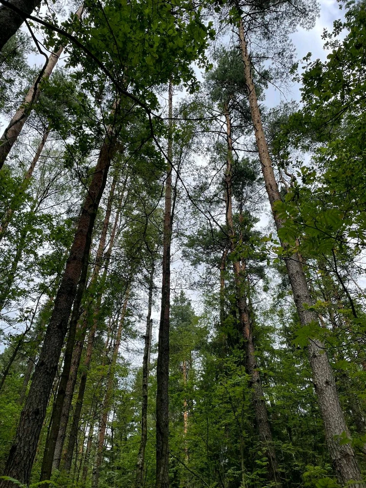 Фото загрузил Anatolii
