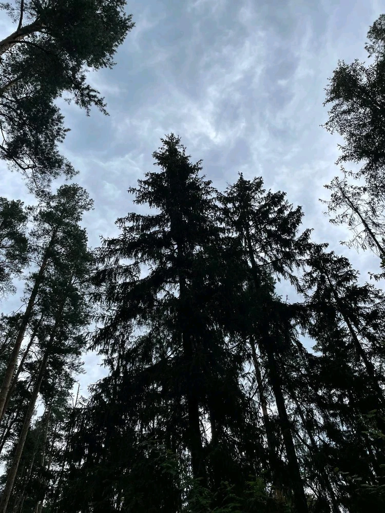 Фото загрузил Anatolii