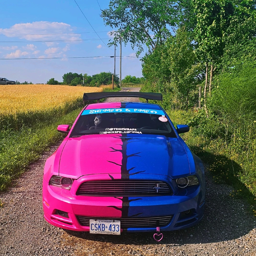 Image uploaded by Teshimar