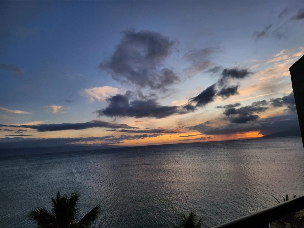 Image uploaded by Silas