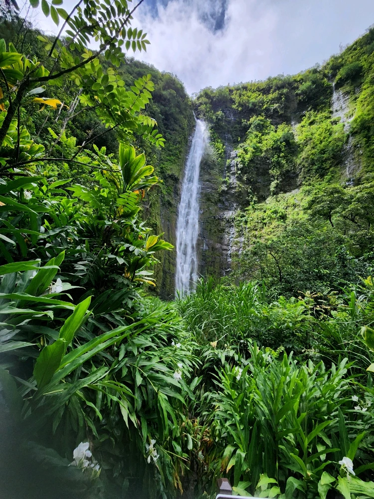 Image uploaded by Silas