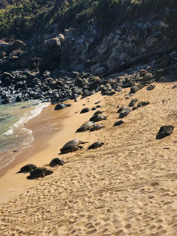 Image uploaded by Silas