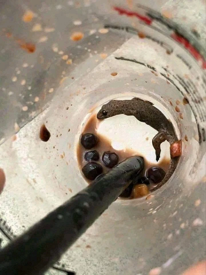 GIF diunggah oleh AL